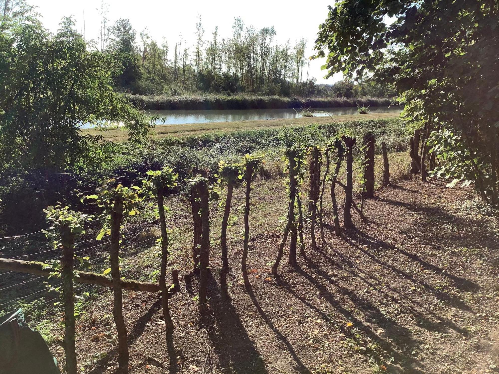 Autour Des Vignes Bed & Breakfast Herry Bagian luar foto