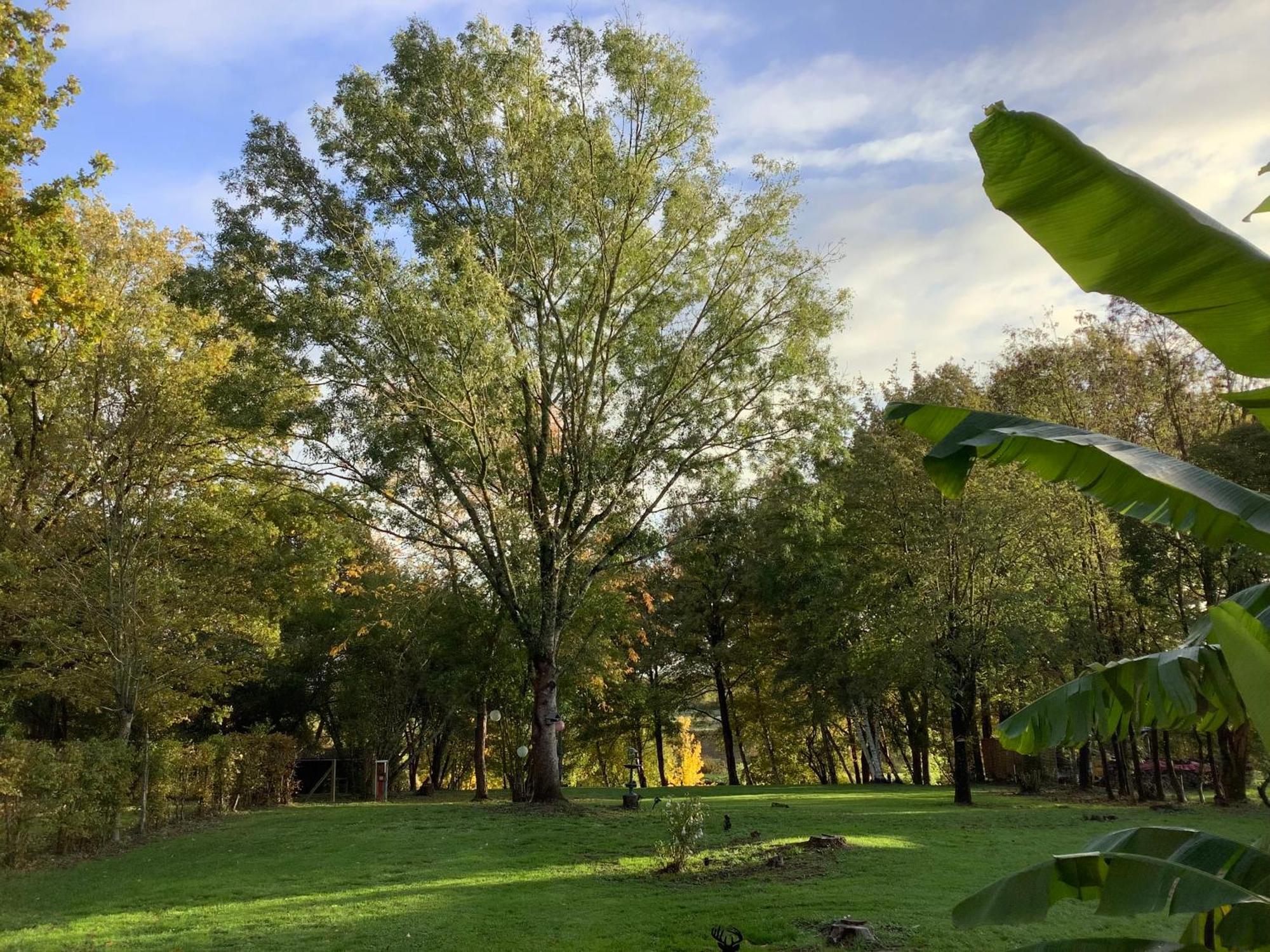 Autour Des Vignes Bed & Breakfast Herry Bagian luar foto